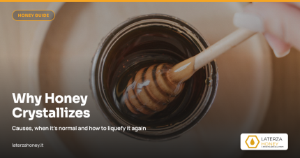 Why honey crystallizes: complete guide