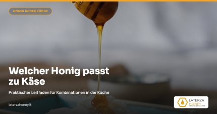 Welcher Honig passt zu Käse: Anpairungsleitfaden