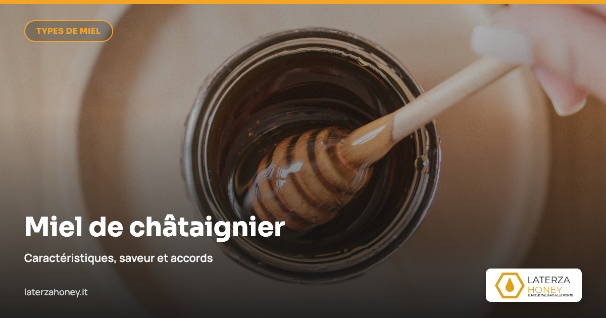 Miel de châtaignier : caractéristiques, saveur et accords