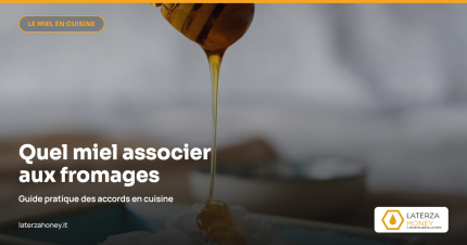 Quel miel associer aux fromages : guide des accords
