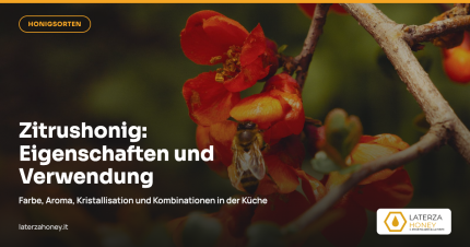 Zitrusblütenhonig: Eigenschaften, Geschmack und Kombinationen