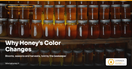 Why the color of honey changes from one harvest to another