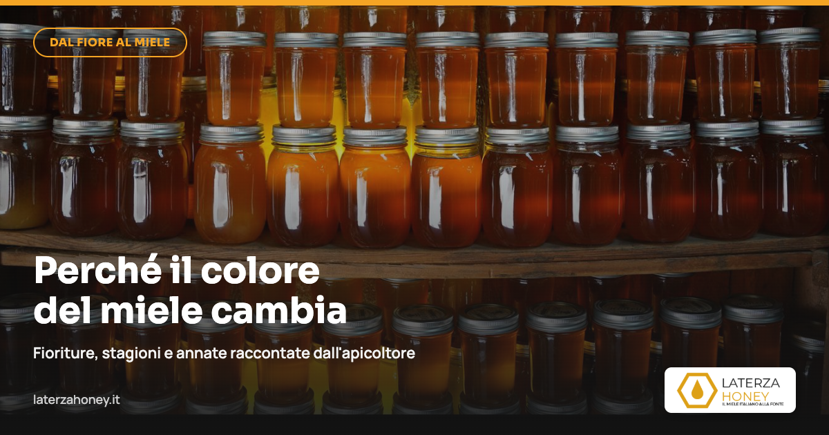 Perché il colore del miele cambia da un raccolto all'altro