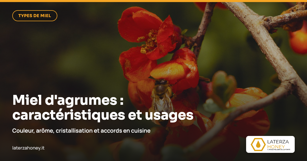 Miel d'agrumes : caractéristiques, saveur et accords
