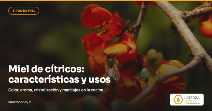 Miel de Cítricos: características, sabor y maridajes