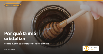 Por qué la miel cristaliza: guía completa
