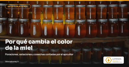 Por qué el color de la miel cambia de una cosecha a otra