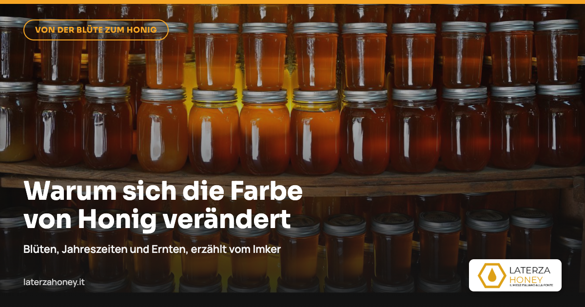 Warum die Honigfarbe von einer Ernte zur anderen variiert
