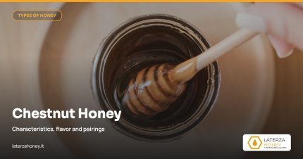 Chestnut Honey: Characteristics, Flavor and Pairings