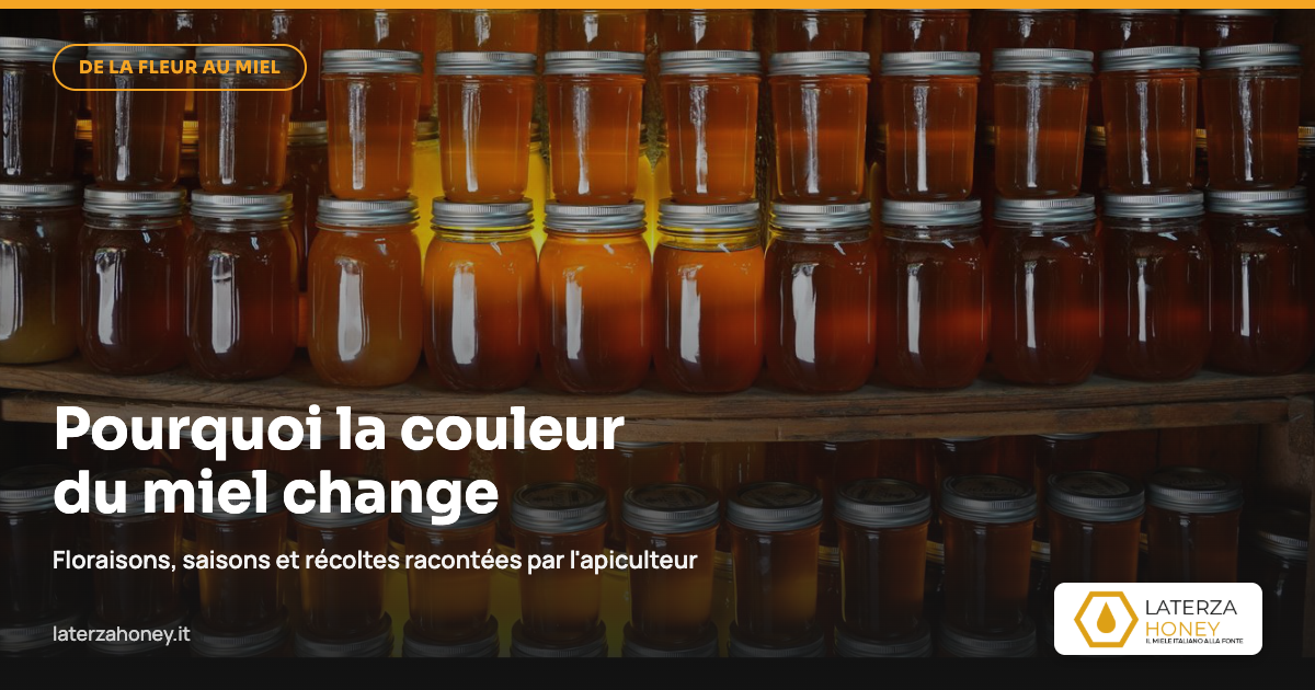 Pourquoi la couleur du miel change d'une récolte à l'autre