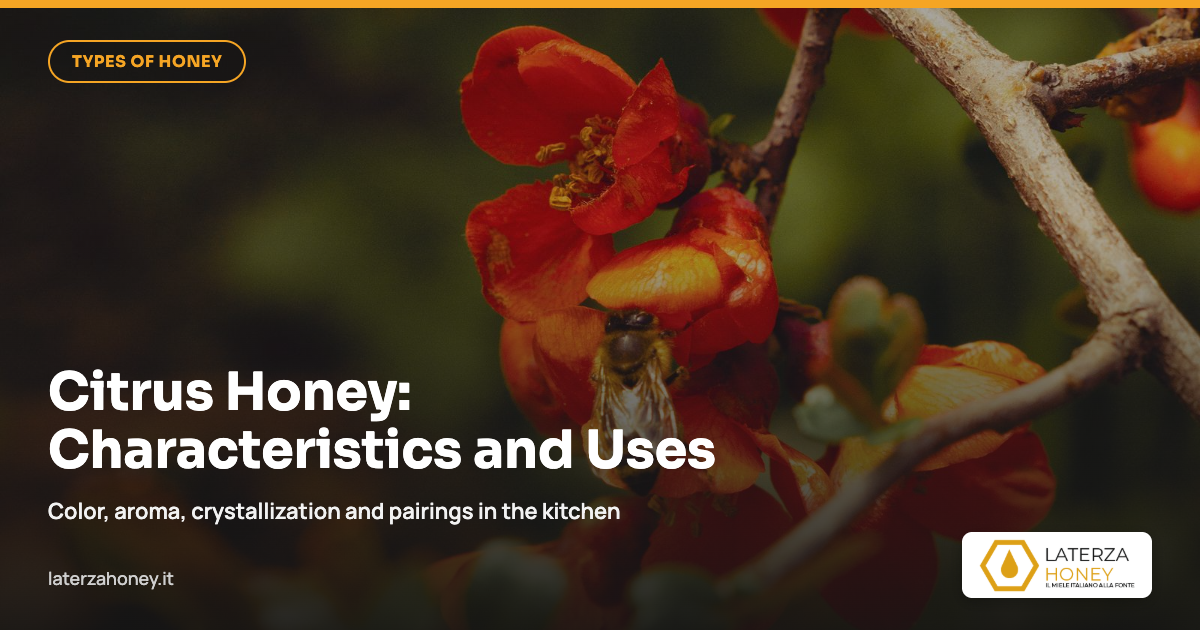 Citrus Honey: Characteristics, Flavor and Pairings