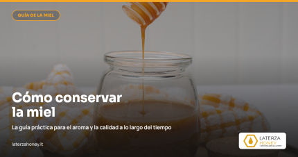 Cómo conservar la miel: guía práctica