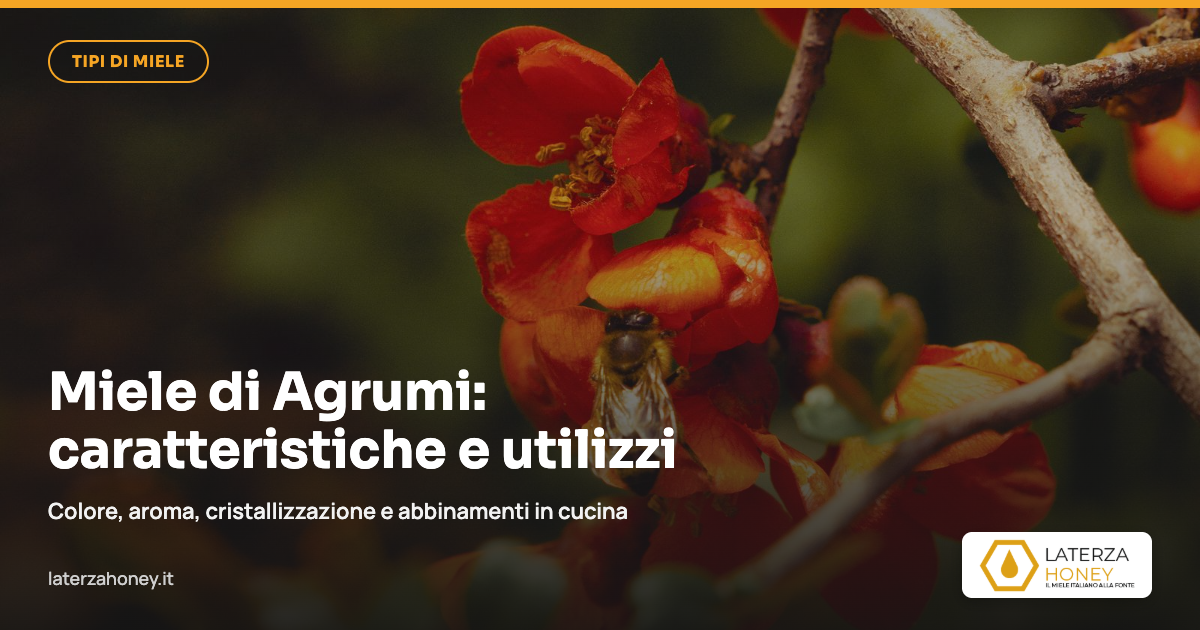 Miele di Agrumi: caratteristiche, sapore e abbinamenti