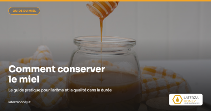 Comment conserver le miel : guide pratique