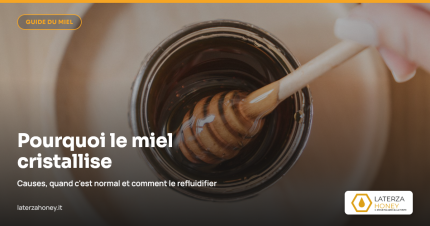 Pourquoi le miel cristallise : guide complet