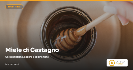 Miele di Castagno: caratteristiche, sapore e abbinamenti